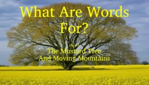What Are Words For? Part 3 – Moving Mountains