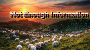 Not Enough Information